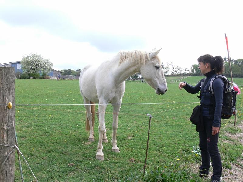 Mont Saint Michel 2010 - 286.jpg